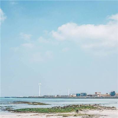 浴血围城手游下载